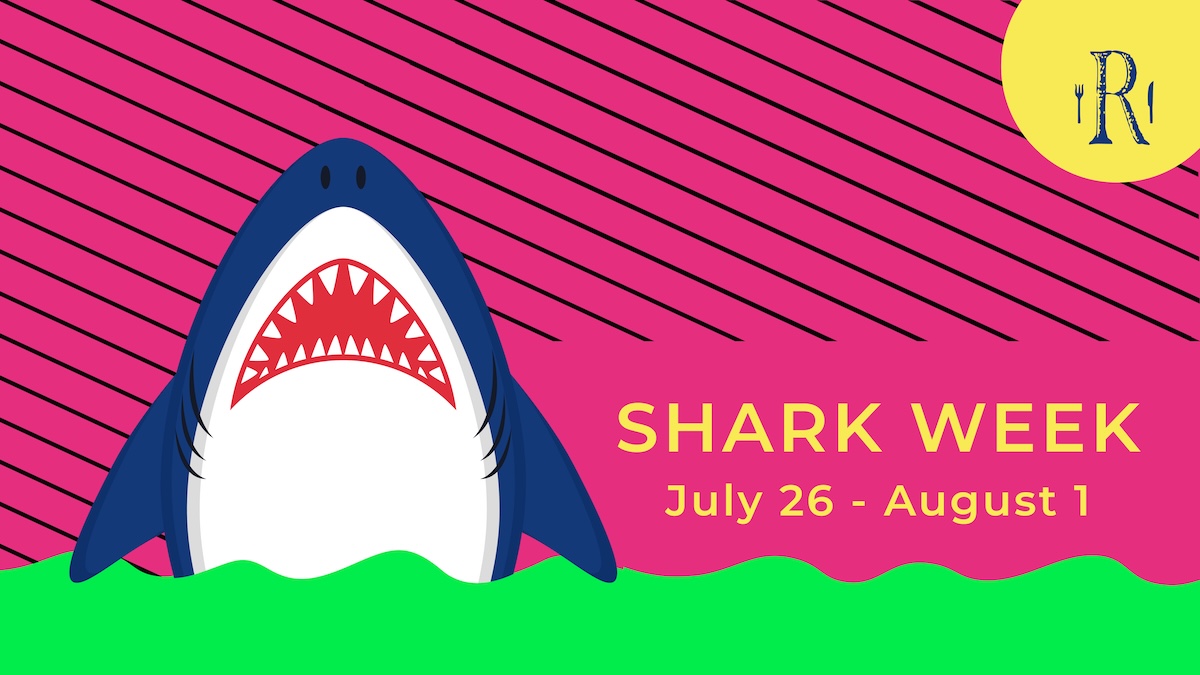 shark copy