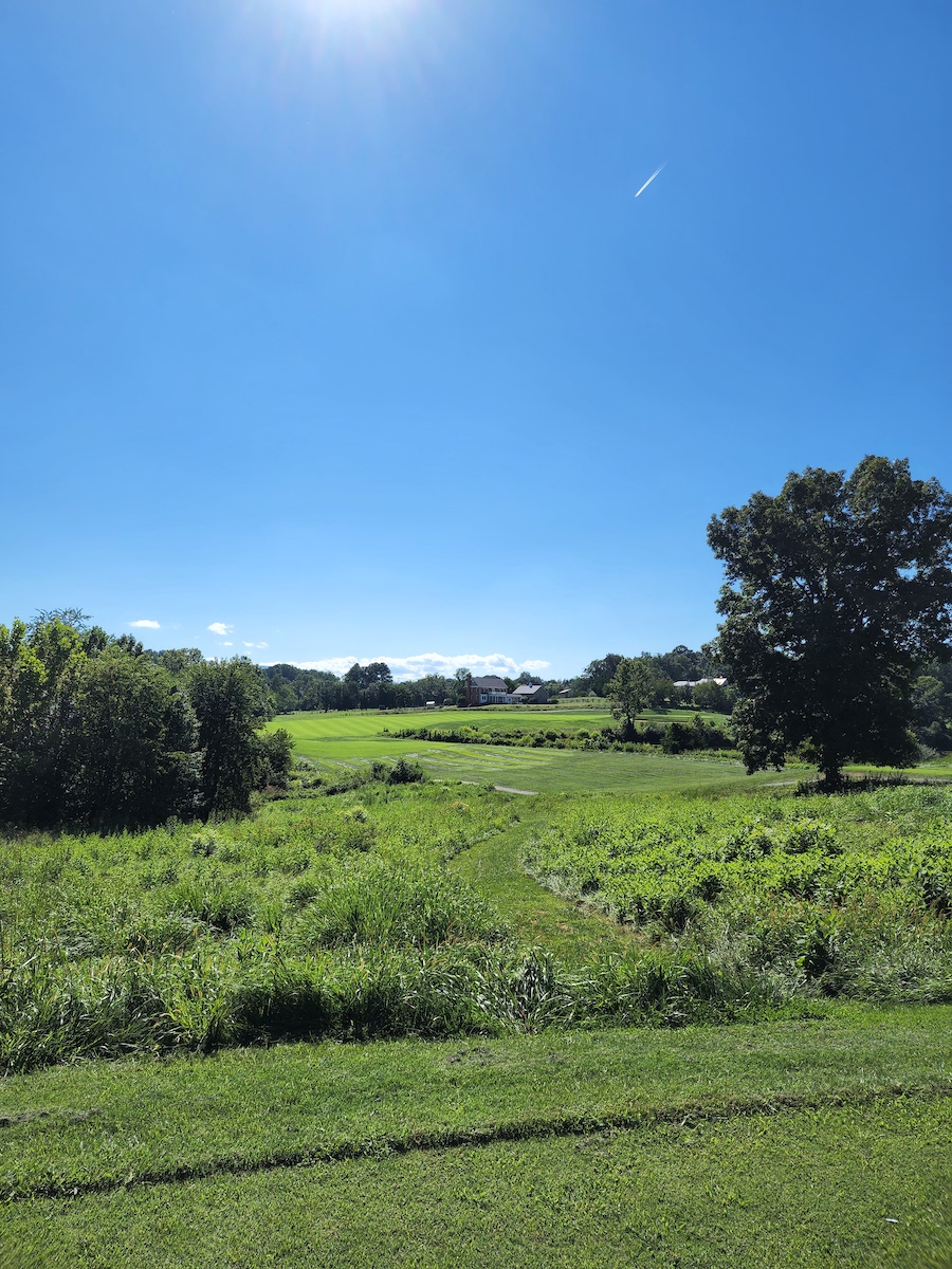 Scenic View of Golf Course Surrounded by Trees in Crozet, VA