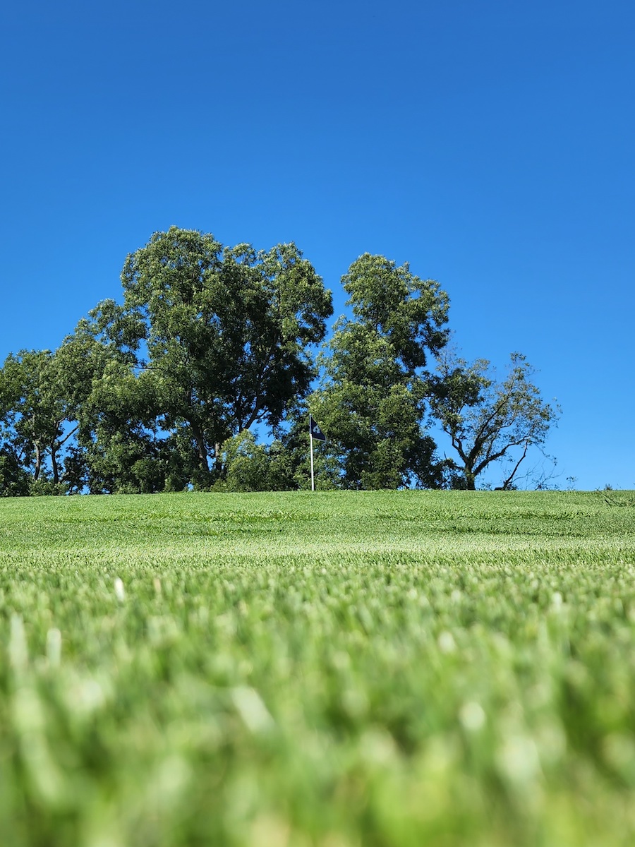 Scenic Panorama of a Well-Maintained Green Goulf Field in Crozet, VA