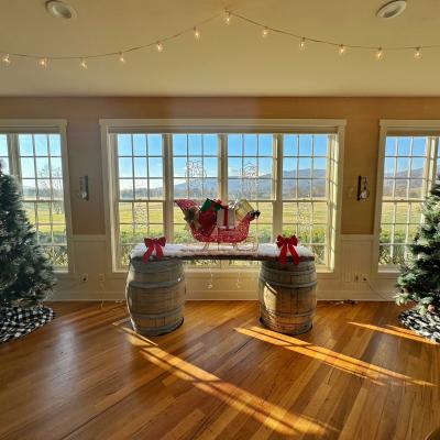 Christmas Party Decorations